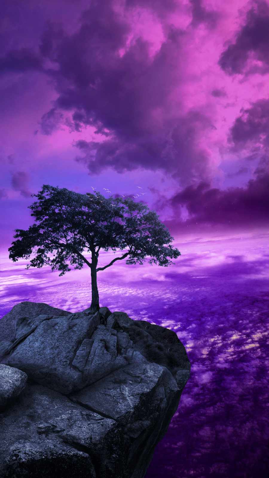 Tree of Sky iPhone Wallpaper HD