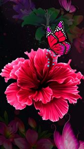 Butterfly On Flower iPhone Wallpaper HD