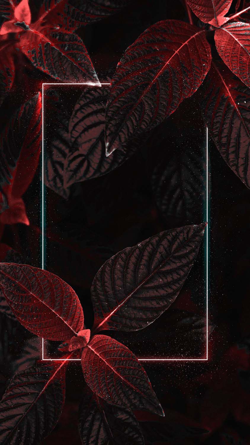 Dark And Red Foliage IPhone Wallpaper HD - IPhone Wallpapers : iPhone  Wallpapers