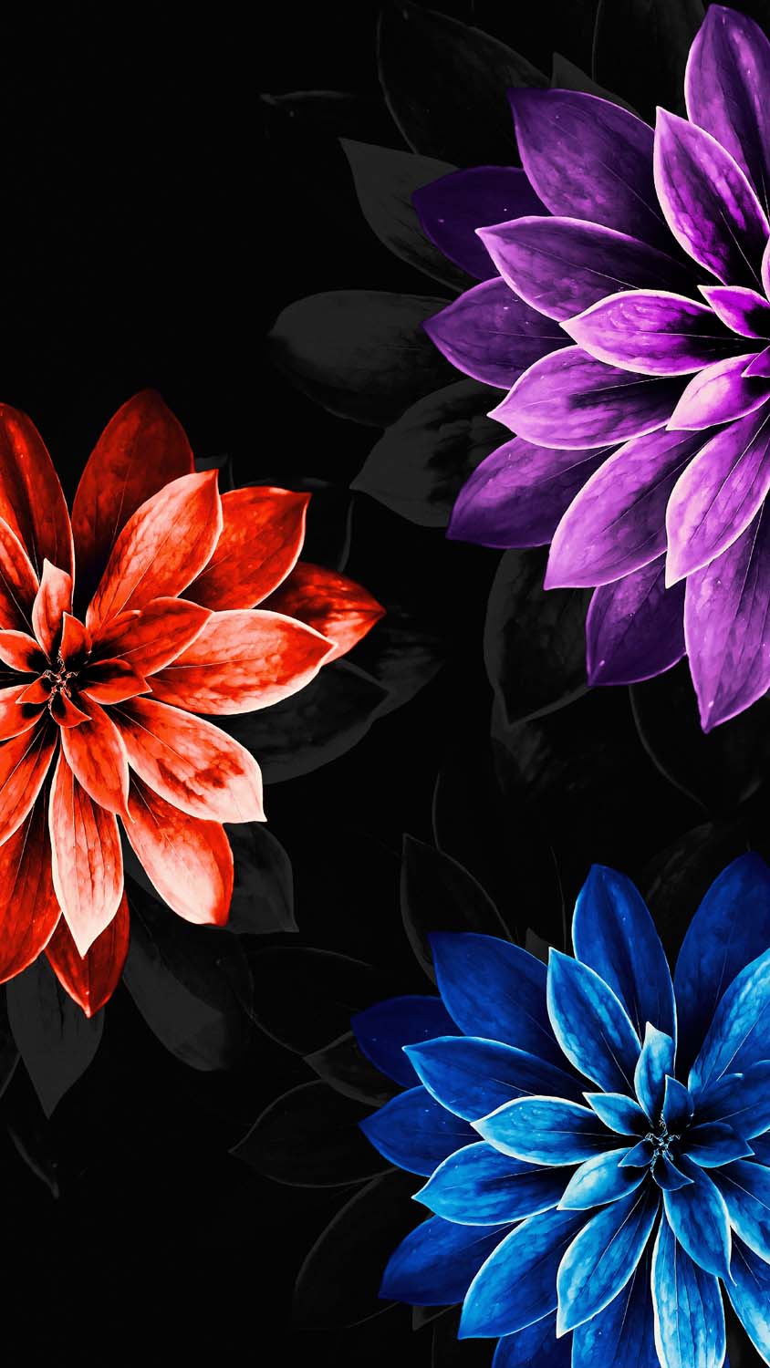 Flowers Amoled iPhone Wallpaper HD