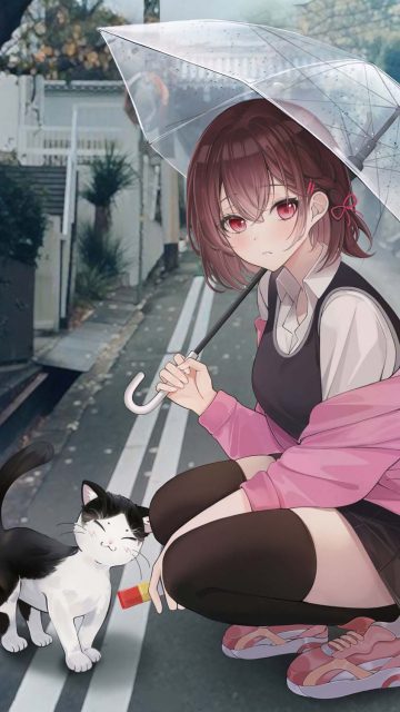 Girl with Cat iPhone Wallpaper HD