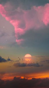 Good morning peeps iPhone Wallpaper HD