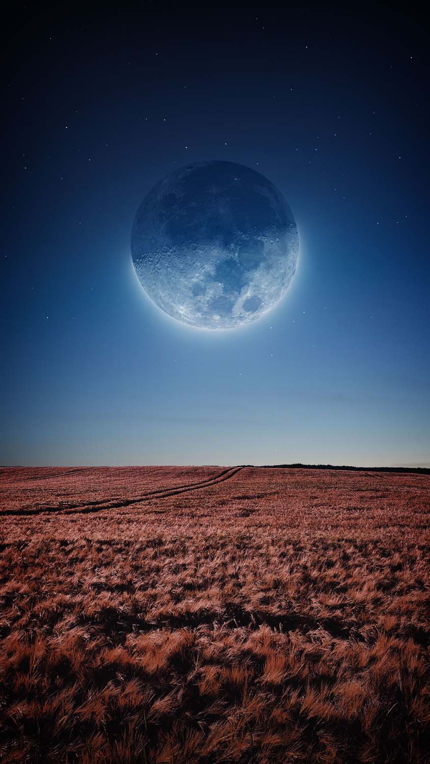 Moon and Farm iPhone Wallpaper HD