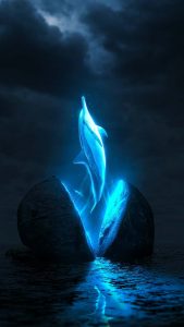 Mystical Dolphin iPhone Wallpaper HD