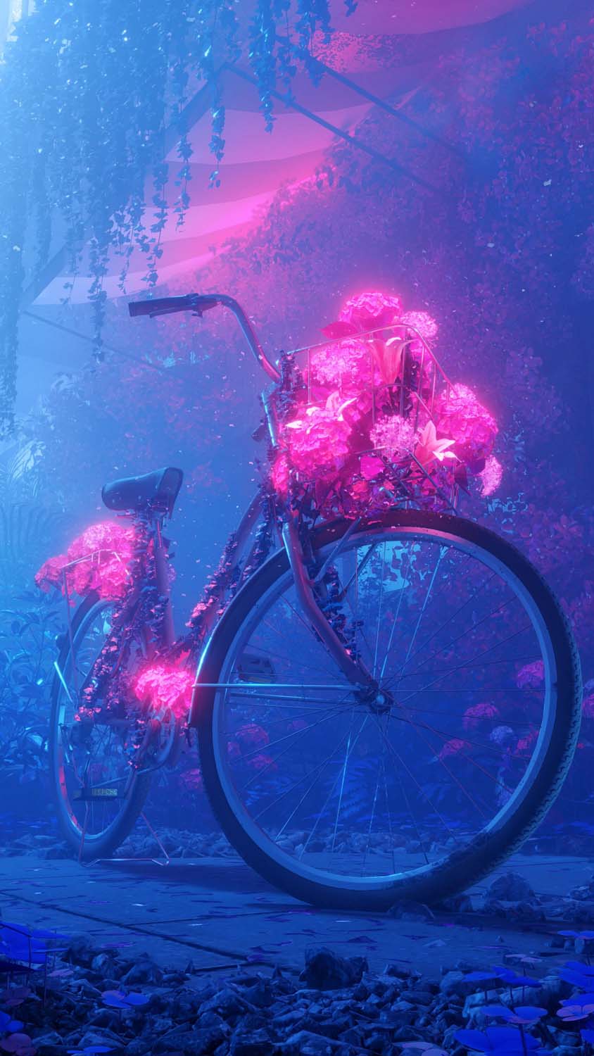 Nature Bicycle IPhone Wallpaper HD