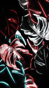Neon Light Foliage iPhone Wallpaper HD