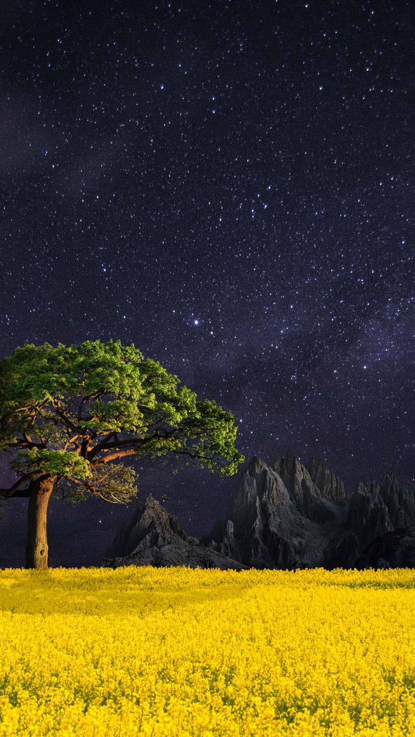 Night Nature Landscape iPhone Wallpaper HD