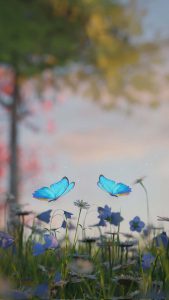 Positivity iPhone Wallpaper HD