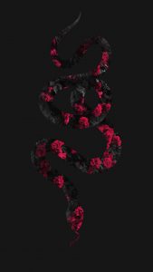 Rose Floral Snake iPhone Wallpaper HD