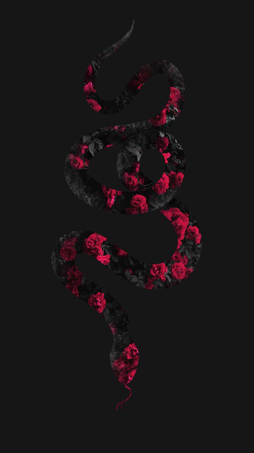Rose Floral Snake iPhone Wallpaper HD