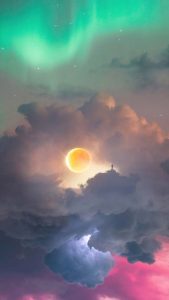 Whose Here to Stay iPhone Wallpaper HD