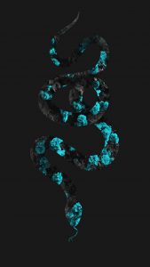 Flower Snake iPhone Wallpaper HD
