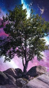 Galaxy Tree iPhone Wallpaper HD