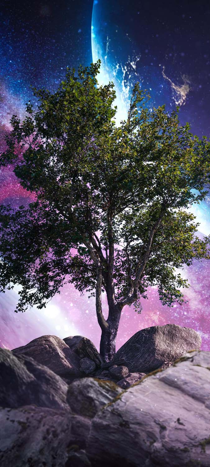 Galaxy Tree iPhone Wallpaper HD
