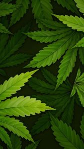 Green Leaves iPhone Wallpaper HD