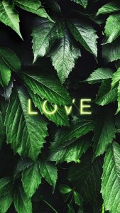 Green Love iPhone Wallpaper HD