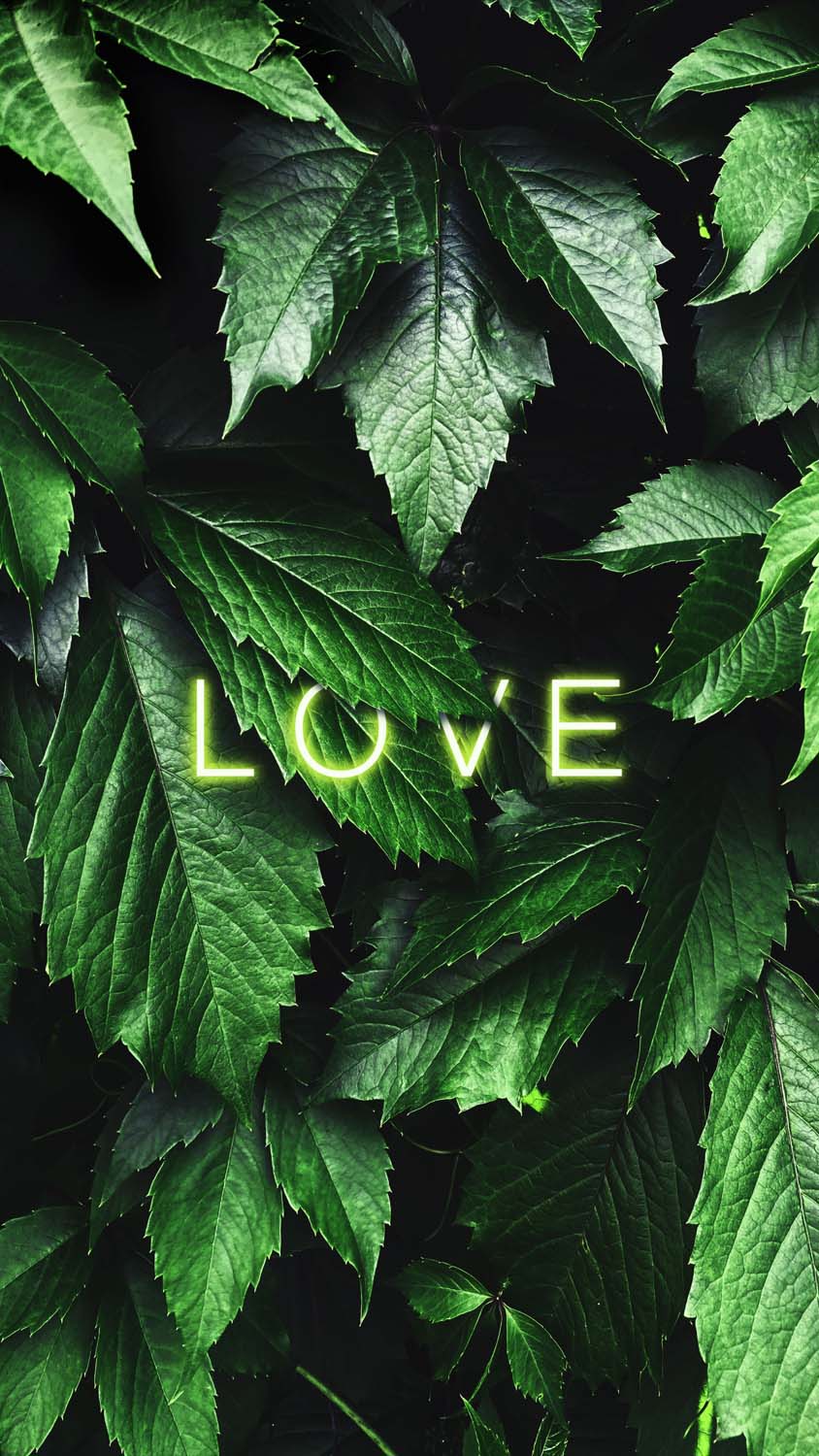 Green Love iPhone Wallpaper HD