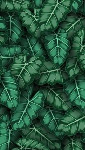 Greenery Exotic iPhone Wallpaper HD