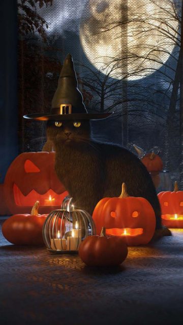 Halloween Cat iPhone Wallpaper HD