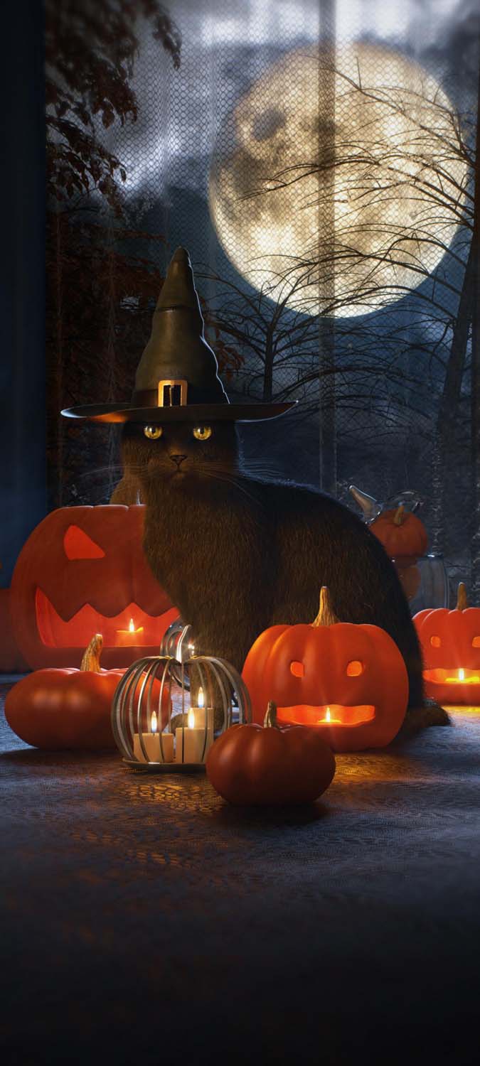 Halloween Cat iPhone Wallpaper HD