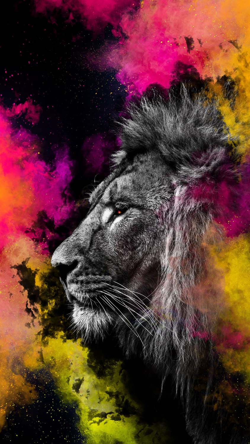 Lion King iPhone Wallpaper HD