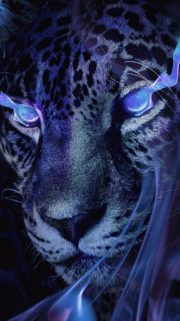 Mystical Panther iPhone Wallpaper HD