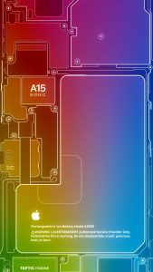 Rainbow Bloom iPhone 14 Pro Wallpaper