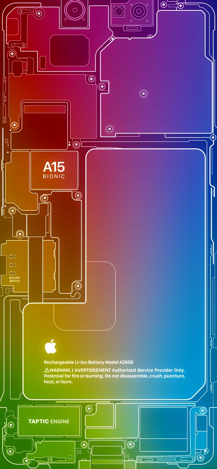 Rainbow Bloom iPhone 14 Pro Wallpaper