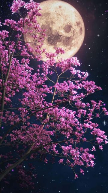 Sakura Tree Moon iPhone Wallpaper HD