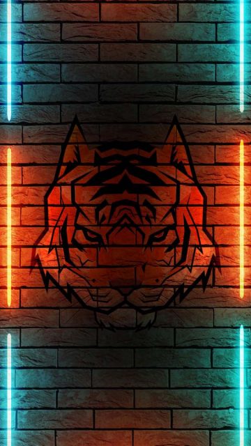 Tiger Frame iPhone Wallpaper HD