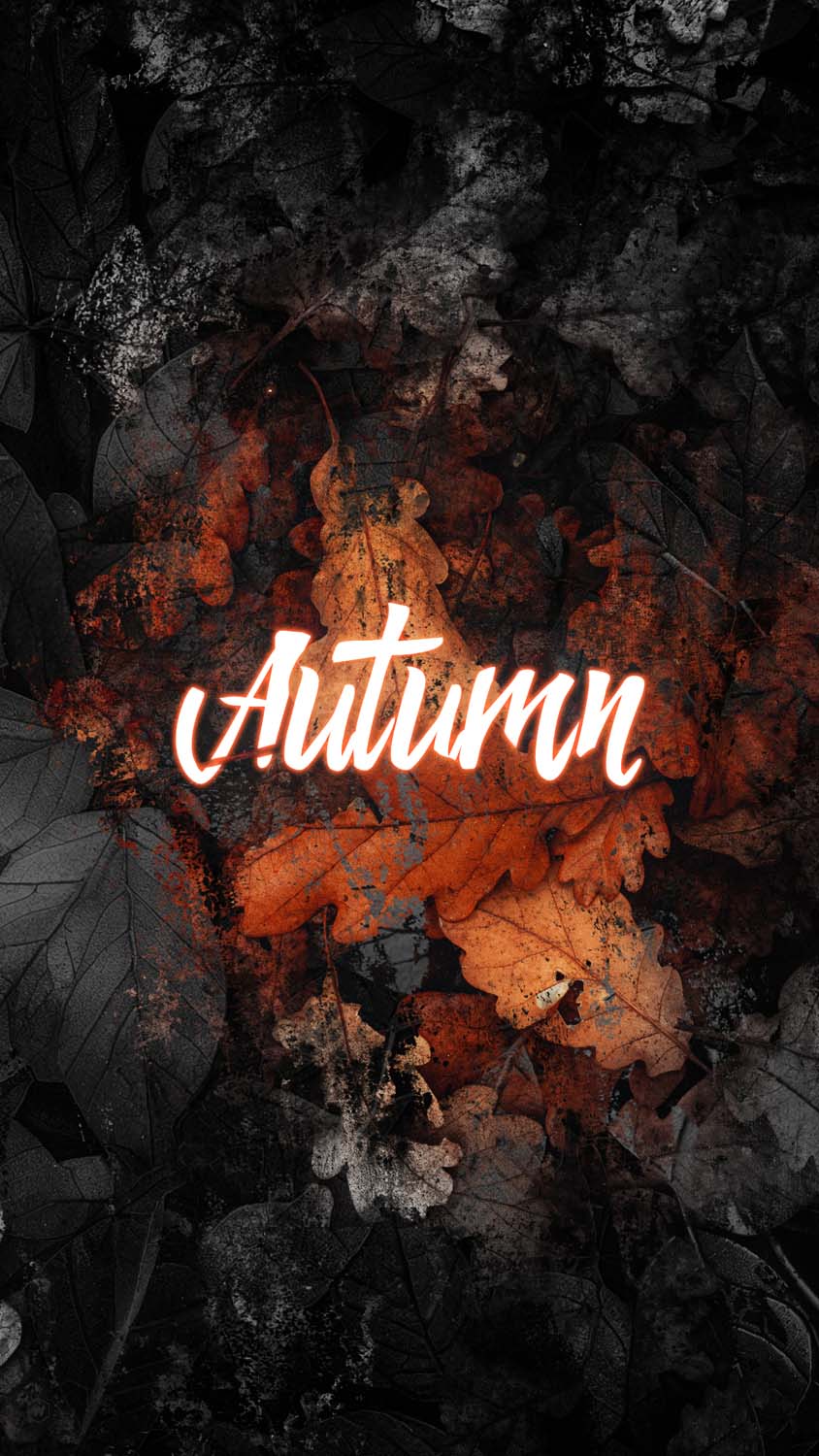 Autumn 4K iPhone Wallpaper HD