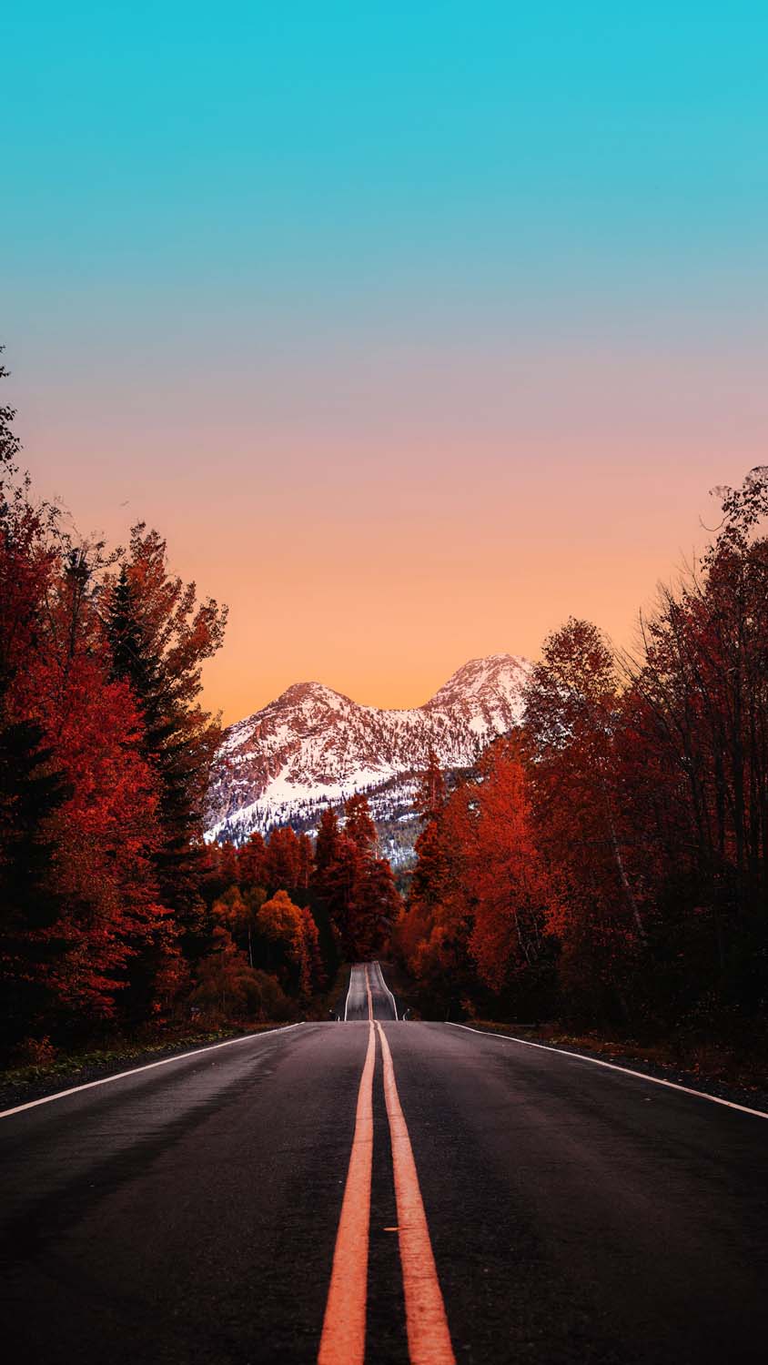 Autumn Road Canada iPhone Wallpaper HD