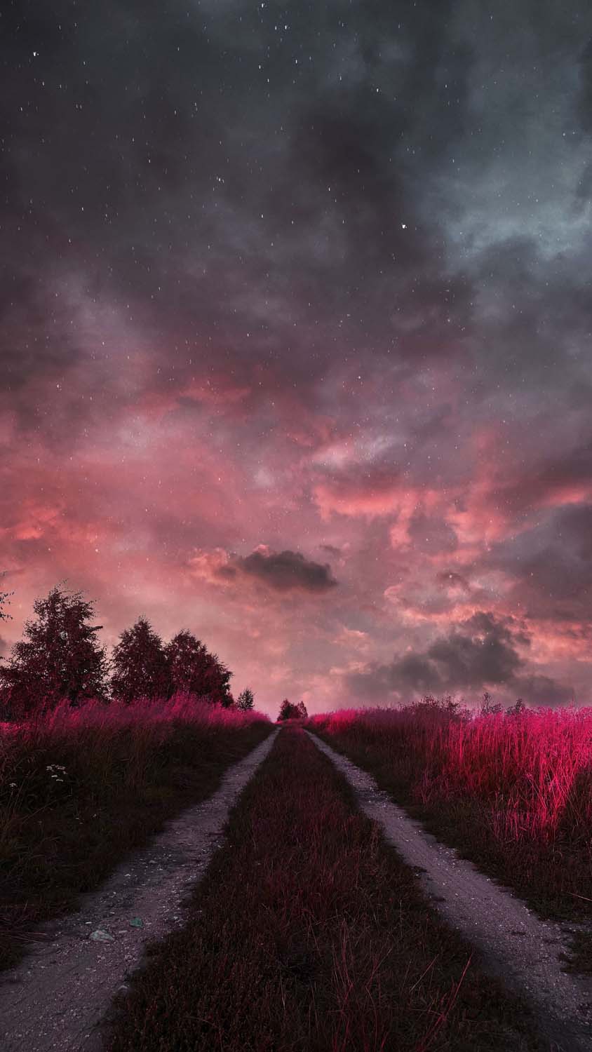 Cloudy Sky and Meadow iPhone Wallpaper HD