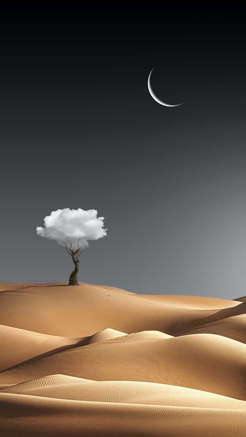 Desert Fantasy iPhone Wallpaper HD