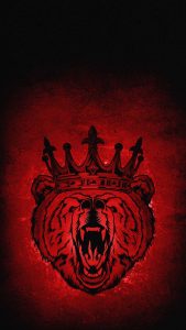 Grizzly Bear iPhone Wallpaper HD