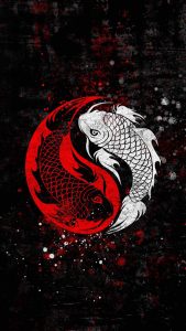 Koi Fish Yin Yang iPhone Wallpaper HD