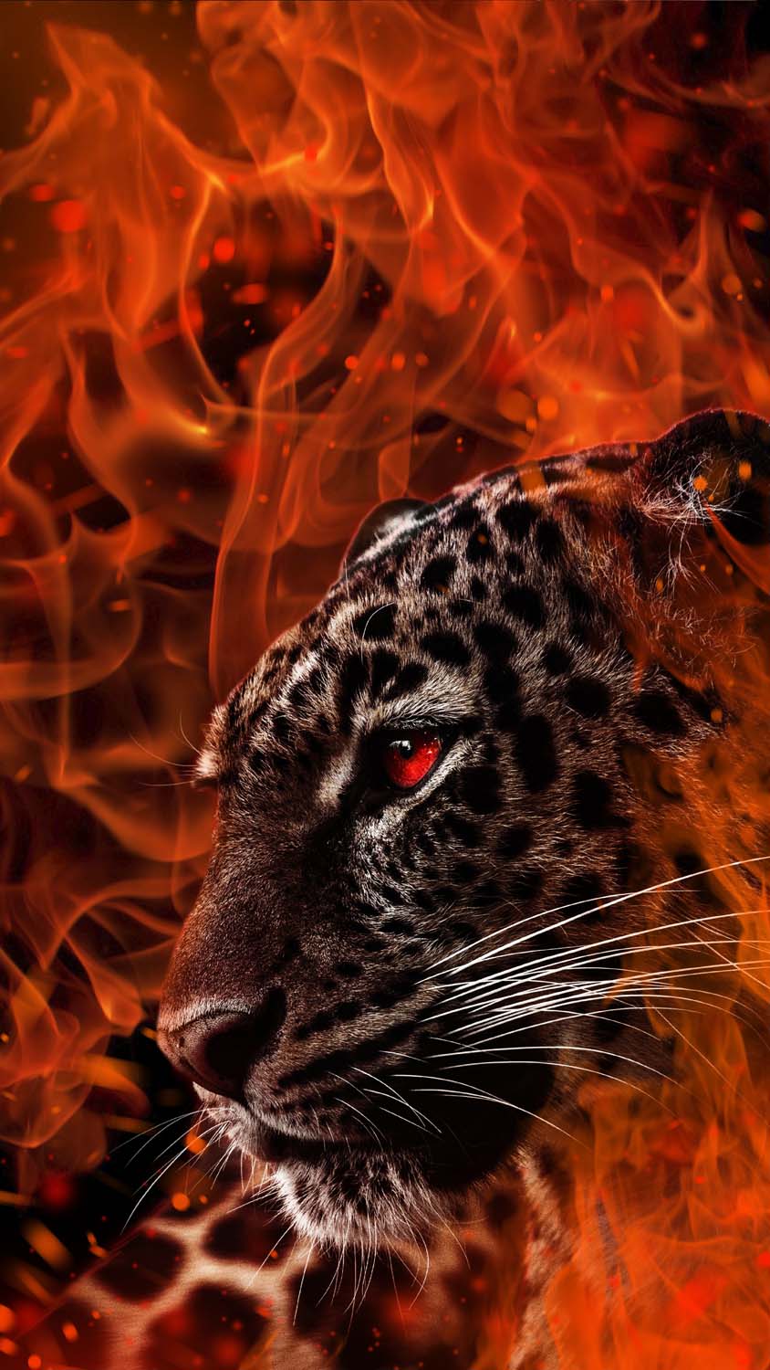 Leopard Fire iPhone Wallpaper HD