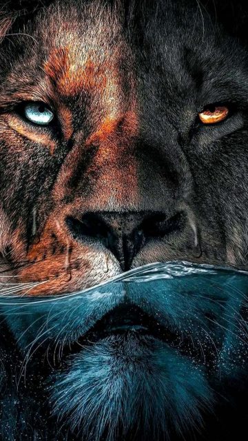 Lion King Art iPhone Wallpaper HD