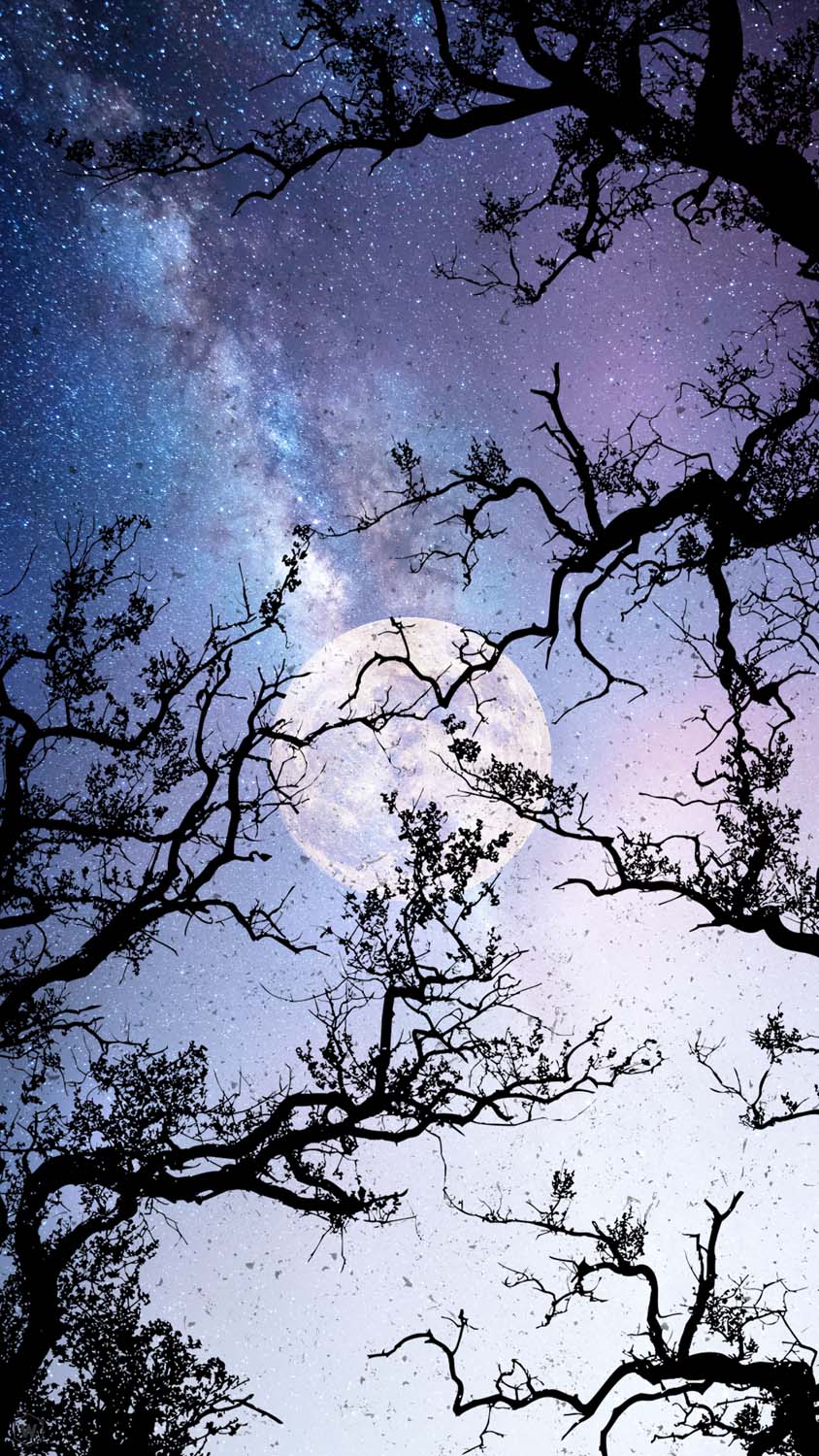 Midnight Moon iPhone Wallpaper HD