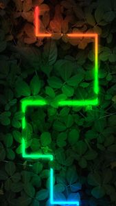 Neon Flora iPhone Wallpaper HD