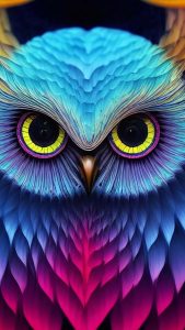 Owl iPhone Wallpaper HD