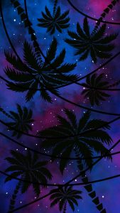Palm Trees Starry Sky iPhone Wallpaper HD