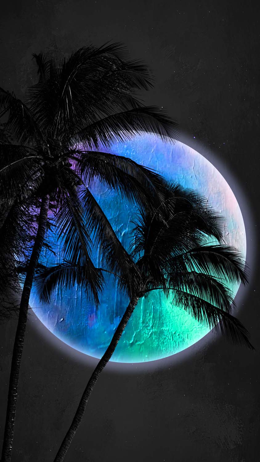 Palm Trees and Moon iPhone Wallpaper HD