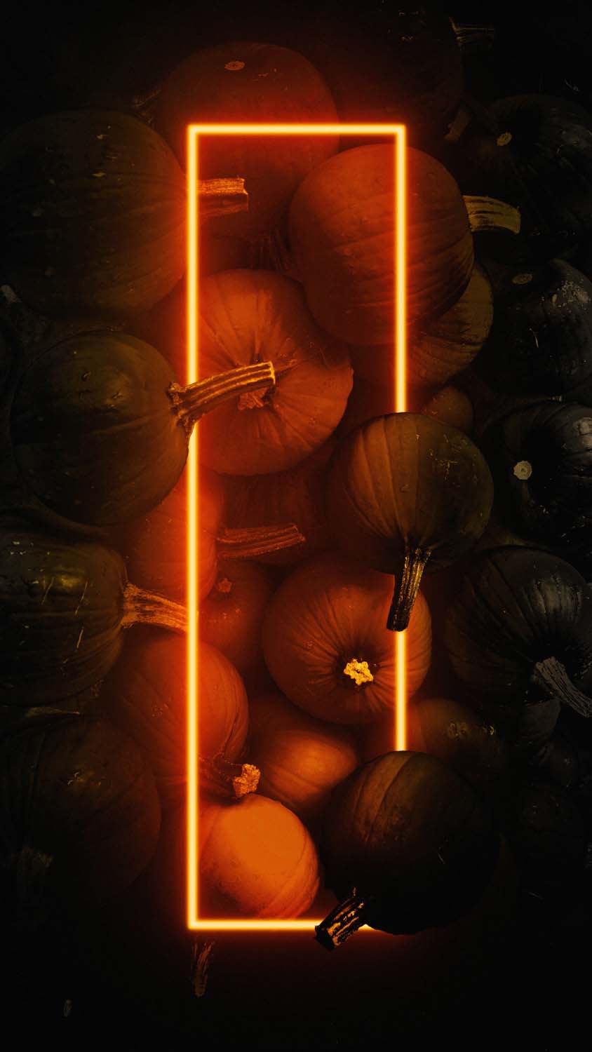Pumpkin Neon Halloween iPhone Wallpaper HD