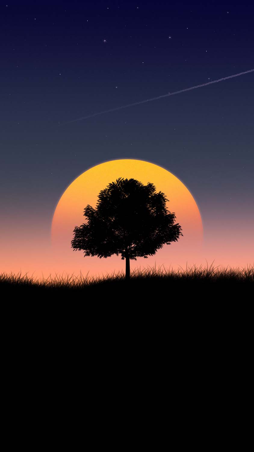 Sunset Tree Silhouette iPhone Wallpaper HD