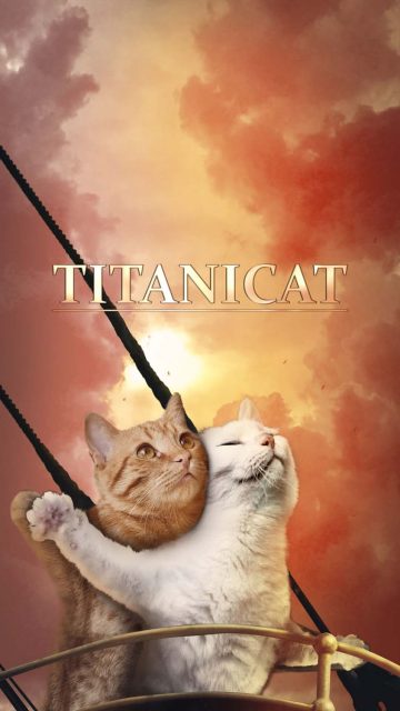 Titanicat iPhone Wallpaper HD