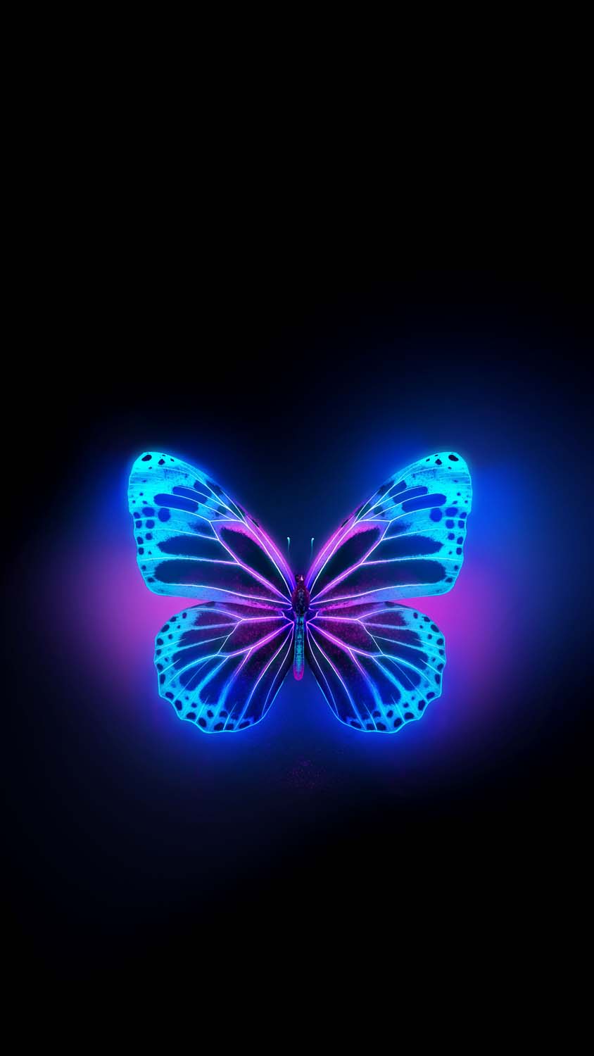 Butterfly Glow iPhone Wallpaper HD