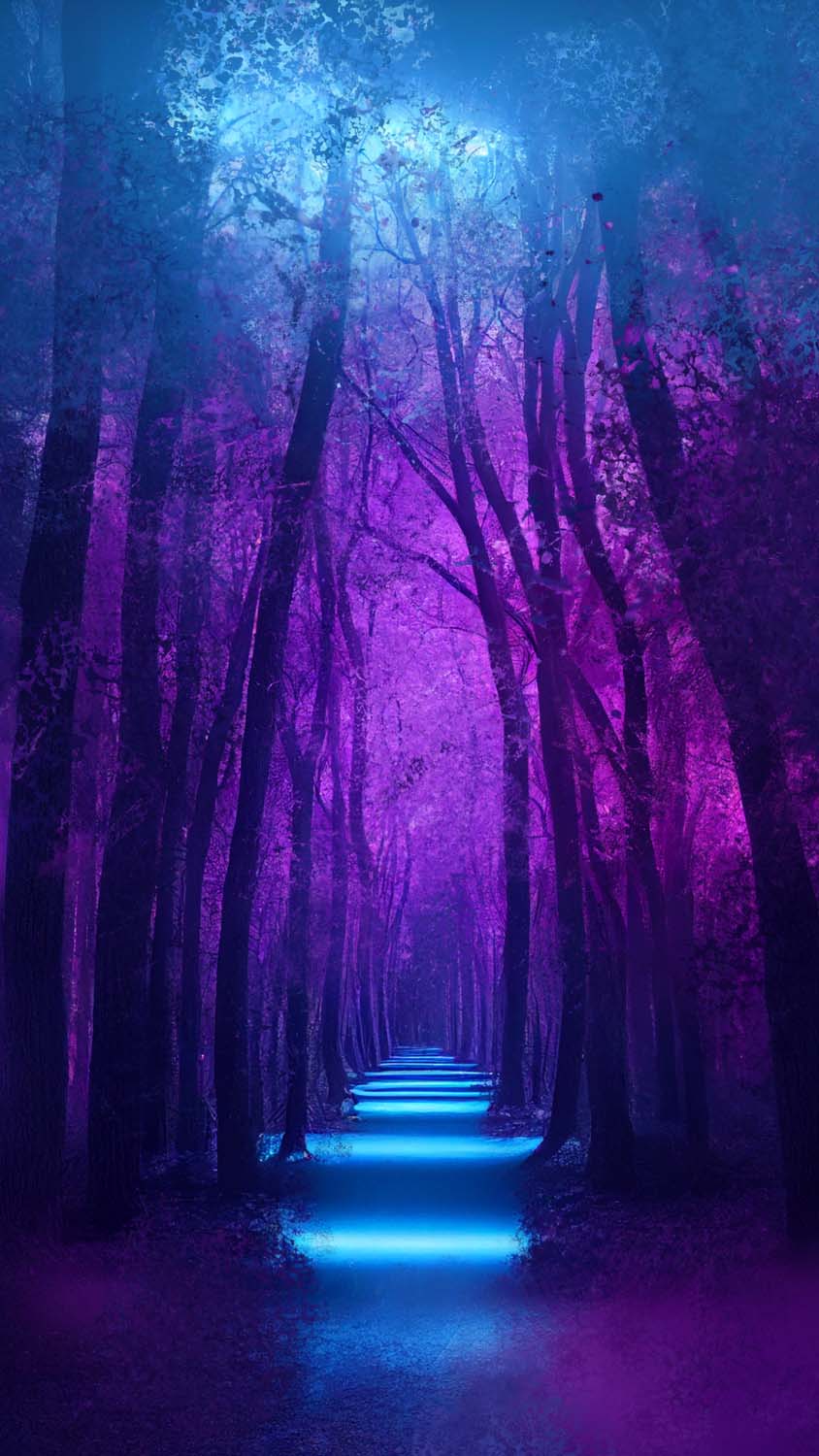 Cold Forest iPhone Wallpaper HD