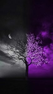 Drought vs Nature iPhone Wallpaper HD