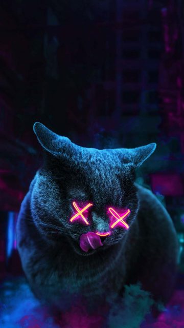 Ghost Cat iPhone Wallpaper HD